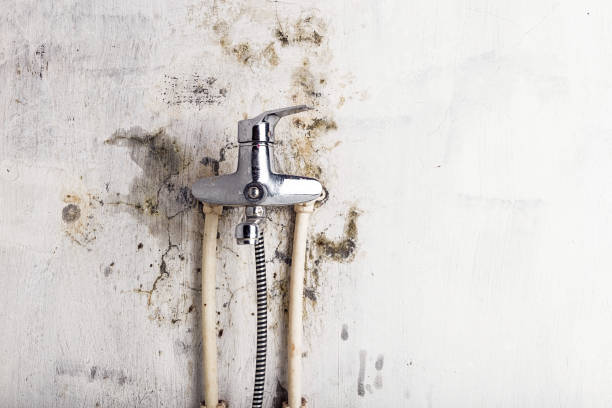 Grovetown, GA Mold Removal Company