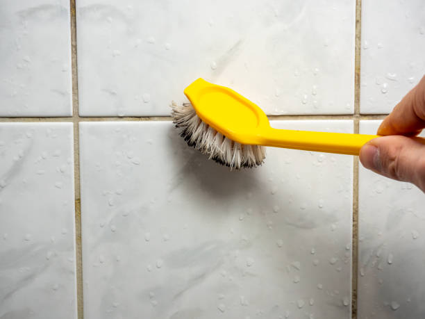 Best Same-Day Mold Removal  in Grovetown, GA