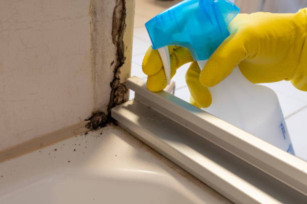 Best Residential Mold Removal  in Grovetown, GA