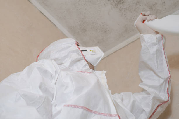 Best Toxic Mold Removal  in Grovetown, GA